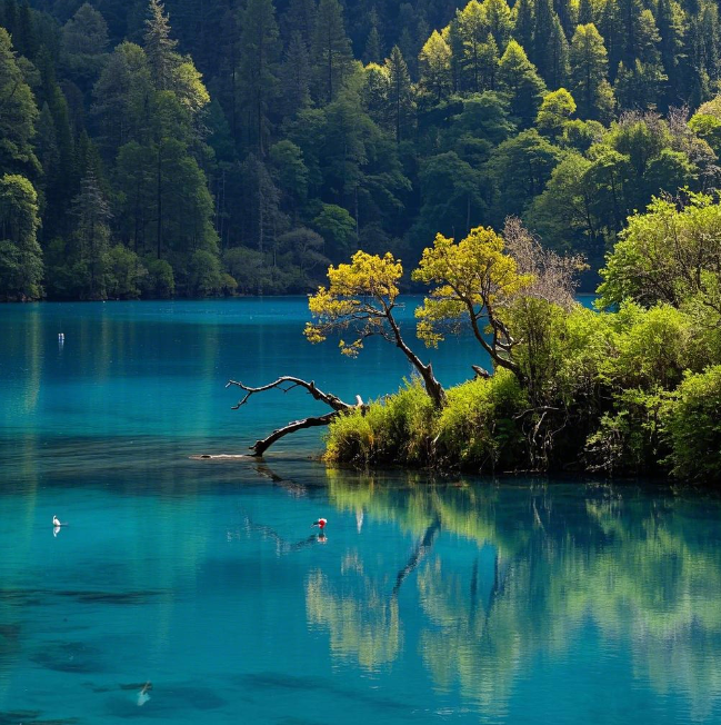 Jiuzhaigou: Dialogue with the Earth at the End of Time